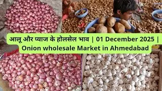 APMC Vasna market Ahmedabad | अहमदाबाद आलू प्याज मंडी के भाव...