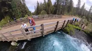 20240525 Wizard Falls Fish Hatchery