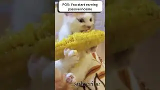 POV: You start earning money online| passive income tastes good guys!