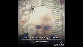 Sia cover of titanium by Tony king music