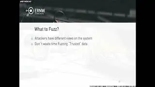 Fuzzing in C/C++