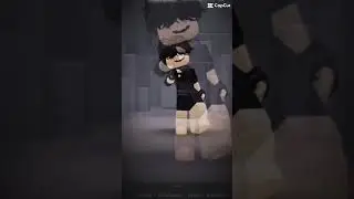 ✨