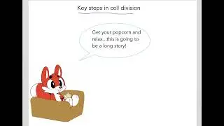 8.1 Cell division and its association with cancer