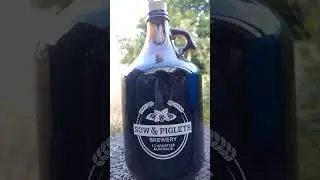 Honey/Mulberry Mead #homebrew #hydromel #shorts