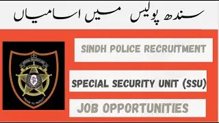 Government of Sindh jobsSindh Social Protection Authority jobsGovernment jobs