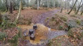 Turf Hill New Forest 2018