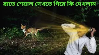 রাত্রিবেলা শিয়াল দেখতে বেরিয়ে এগুলো কি দেখলাম || day-412