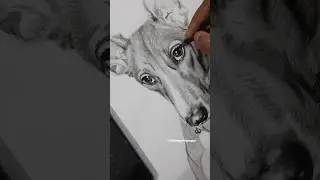 commission Artwork &hearts;️ #ytshorts #workingartist #artdrawing #dogsketch #artist #explore