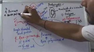 CSIR NET LIFE SCIENCE:BASIC PROCESS OF BACTERIAL REPLICATION.