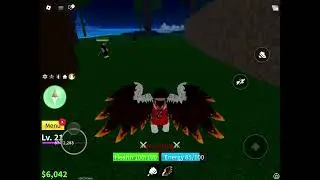 Today we played blox fruit agen