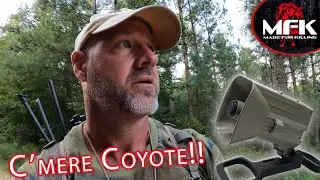 Calling Coyotes To 10 Yards With The MFK FoxPro X24!!