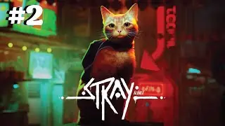 Can We Find Momo?! | Stray - Part 2