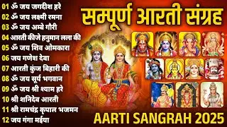 एकादशी संध्या आरती संग्रह | संपूर्ण आरती संग्रह | सबसे ज्यादा सुनी जाने वाली आरतियां | Vishnu Aarti