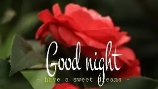 Good night photos  !! Good night images  !! Have a sweet dream