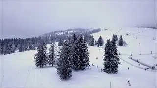 Feldberg (1493m) | Infos und Vorbereitungen f&uuml;r den h&ouml;chsten Berg im Schwarzwald