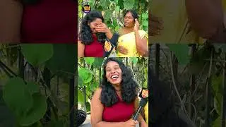 எவ்ளோ திமிரு பார்த்தியா? | Public Opinion | Thug Life | Fun | Comedy | VJ Swetha | Love