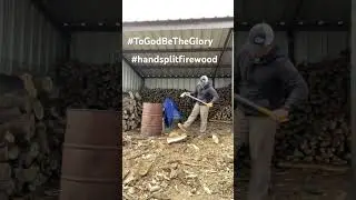 Hand splitting a round of Post Oak. #splittingfirewood