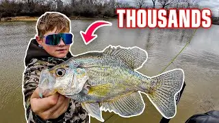 THOUSANDS OF CRAPPIE COME IN THIS CREEK EVERY WINTER‼️ CREEK CRAPPIE 2026‼️