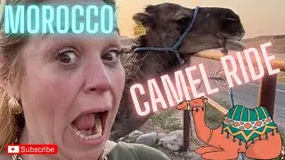 First evening - Agafay desert, camel ride and dinner and fire show