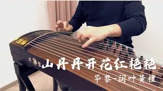 古筝《山丹丹开花红艳艳》5级示范 Grade Exam Level 5 Shan Dan Dan 华黎阔叶黄檀试音 Huali East Indian Rosewood Series guzheng