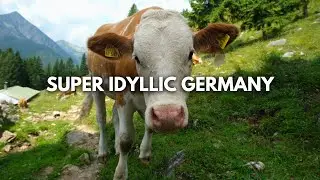 SUPER IDYLLIC GERMANY: Hiking With Cows In Bavaria