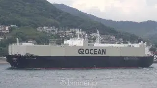 SWIFT ARROW - G2 OCEAN Totally Enclosed Forestry Carrier 自動車船にしか見えない木材運搬船