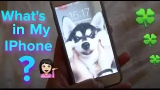 COSA C'è NEL MIO IPHONE 6?|| Elisa Maino ||