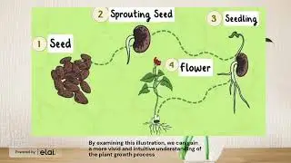 Mayer's principles of multimedia design: (small group) Video presentation