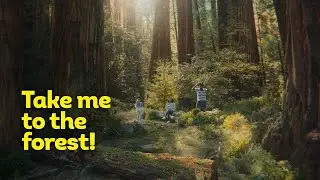 Black Forest&reg; - Take Me To The Forest!