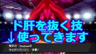 世界大会出場レベルのトレーナーがガチでバトるとこうなります【ポケモン剣盾】