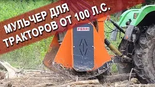 Уничтожитель деревьев - мульчер Ferri