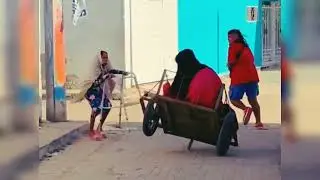 funny gorilla videos ।। silverback gorilla vs chimpanzee ।। monkey picture prank #funnyprank