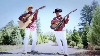 Potencia de la sierra La silverado
