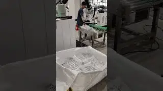 Cobot Palletizer Palletizing Bags