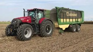 Case IH Optum 270 CVX & Krone ZX 470 GD