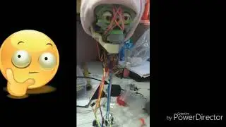Humanoid skull project