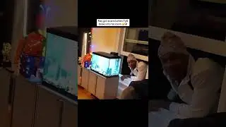 Aw they are really brothers #ray #tylil #twitch #livestream #shorts #viral