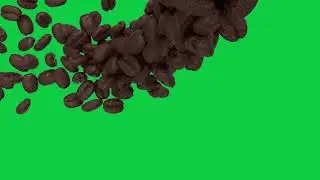 [4K] Falling Coffee Beans Transition - Green Screen