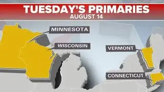 Minnesota gears up for major primary elections