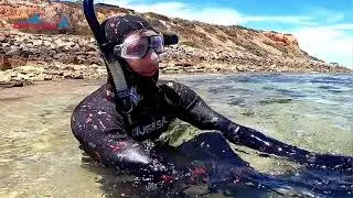 Dive & Sail 3MM 2 Piece Open Cell Lined Wetsuit