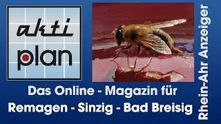 Die ersten Bienen sind Schwebfliegen