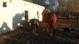 Gente de Mi Tierra  video 03trabajos rurales estancia 