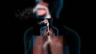 10 साल तक रोज़ सिगरेट पीने का खतरनाक सच! 🚭 | Smoking Facts in Hindi