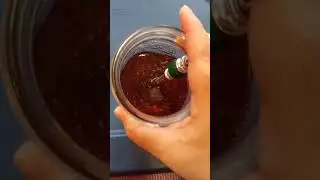 Pine needles tea reading 🌲 by The Whale Called Moon 🐳 #thewhalecalledmoon #viral #tea