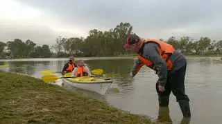 MURRAY RIVER ADVENTURES by Sydney Harbour Kayaks