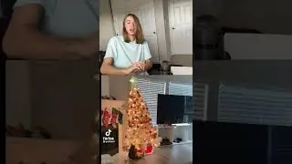 If Cats Could Talk // Cat VS Christmas Tree