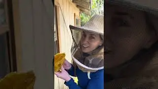 При таком раскладе у Лори никогда не закончится мёд.