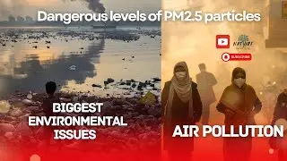 Air Pollution in India: The Growing Environmental Crisis 🌍 | @naturevoiceflix
