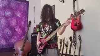 Megadeth - Ashes in Your Mouth - Bass Cover
