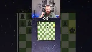 INSANE forced CHECKMATE